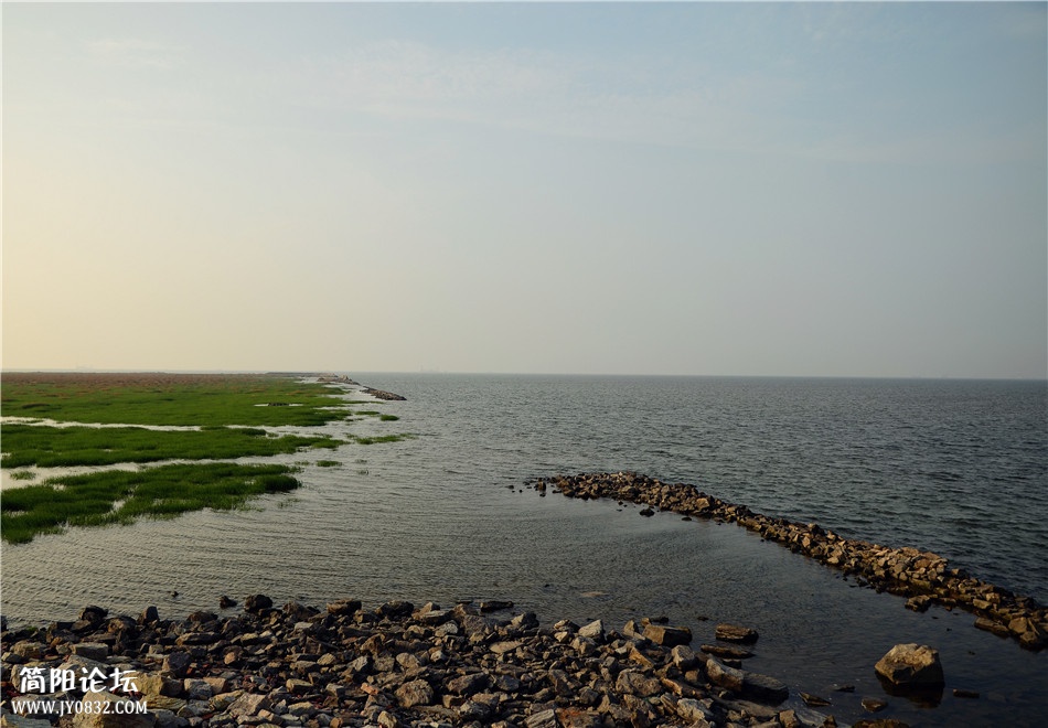DSC_0468.jpg