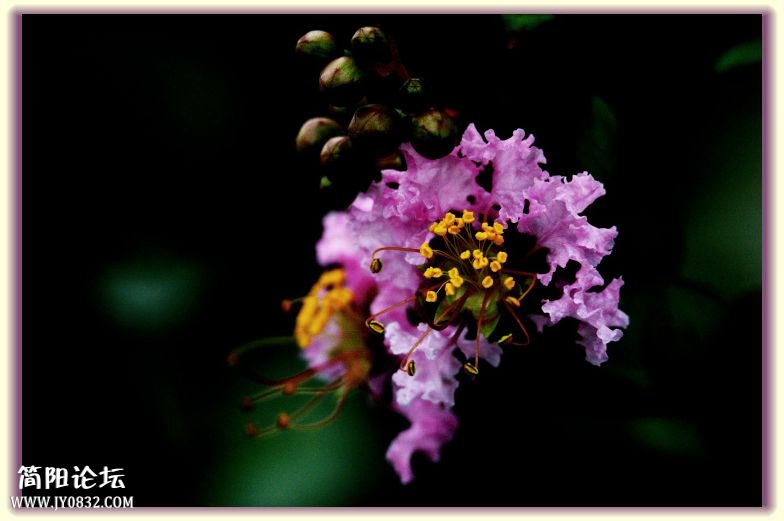 DSC_7599.jpg