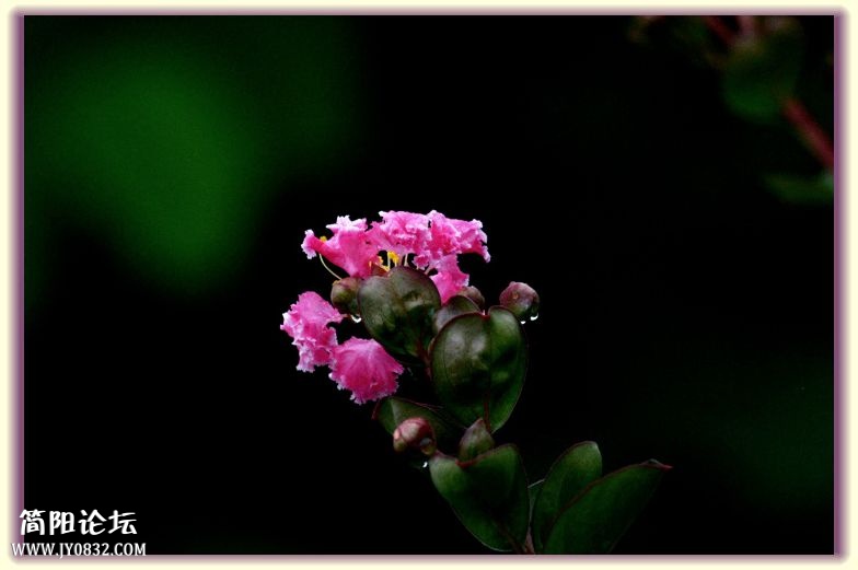 DSC_7615.jpg