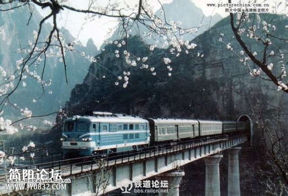 135.jpg