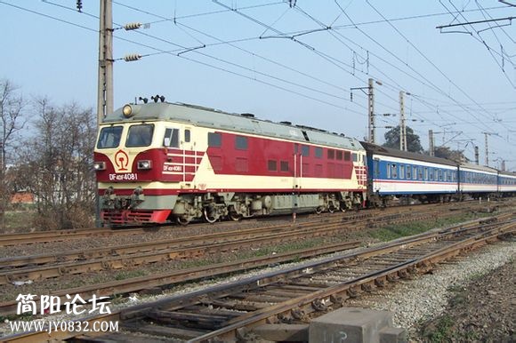 241.jpg