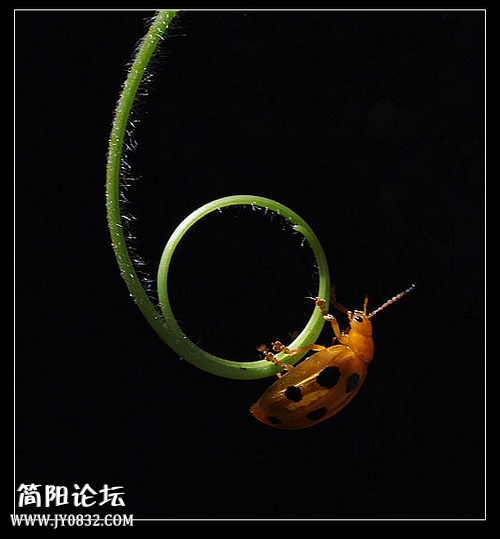 IMG_0630a_副本aa0.jpg