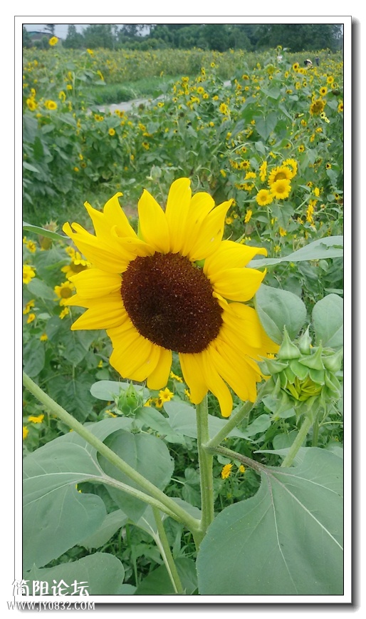 20140711_173422.jpg