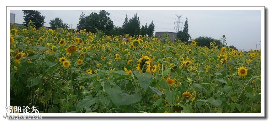20140711_173557.jpg