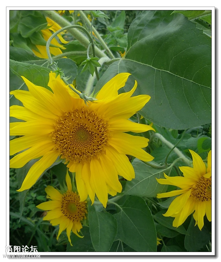 20140711_173914.jpg
