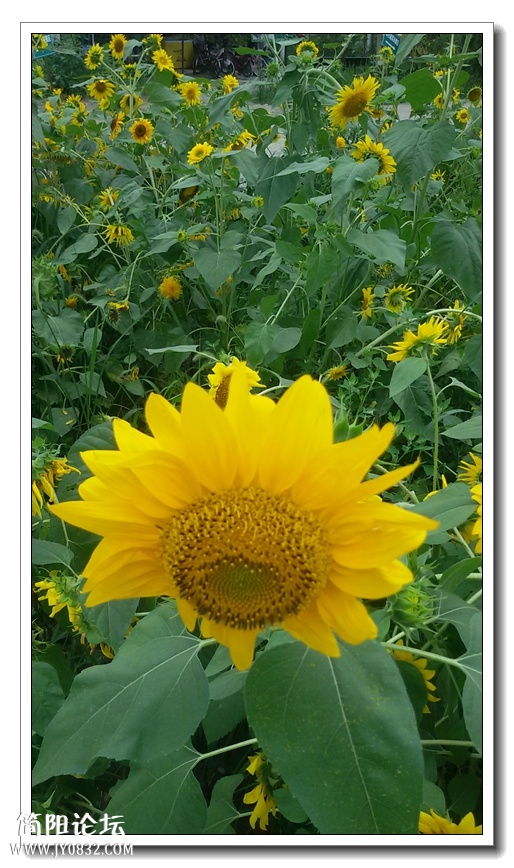 20140711_174050.jpg