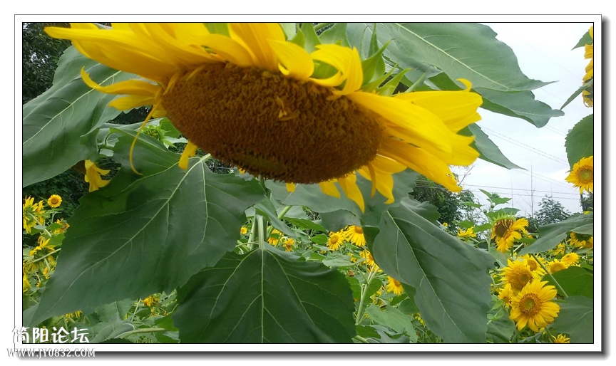 20140711_174841.jpg