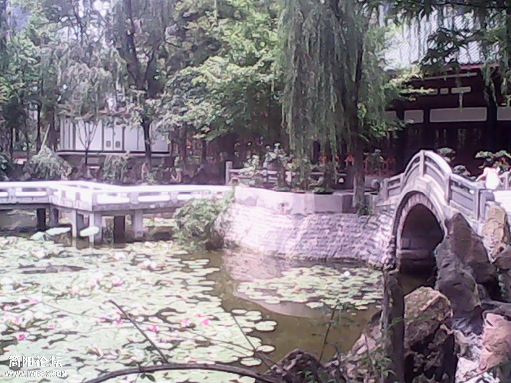 IMG_20140716_131248.jpg