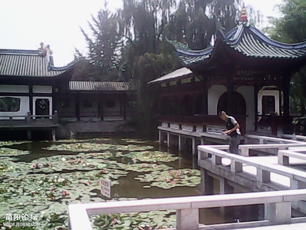 IMG_20140716_131455.jpg