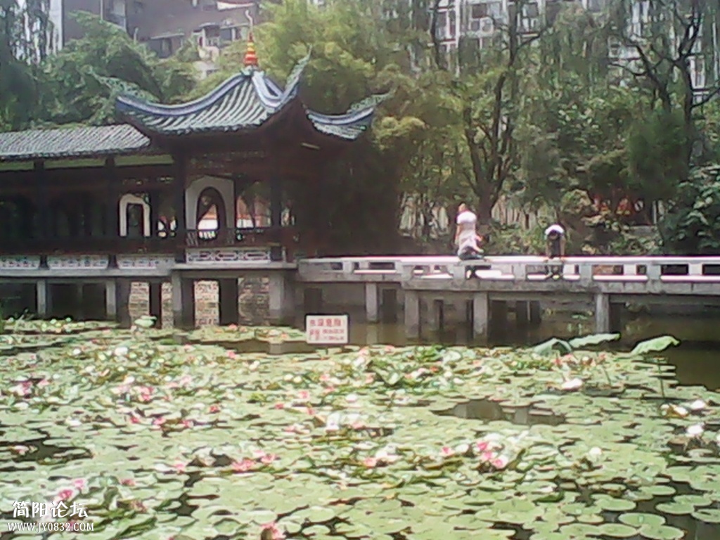 IMG_20140716_131354.jpg