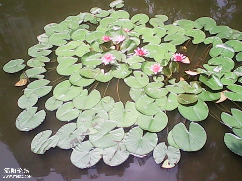 IMG_20140716_131442.jpg