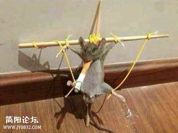 xiyan (1).jpg