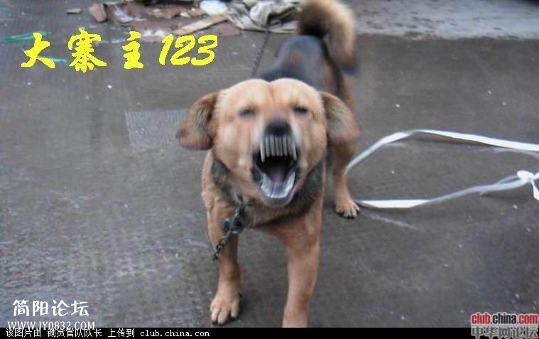 1334716912102.jpg