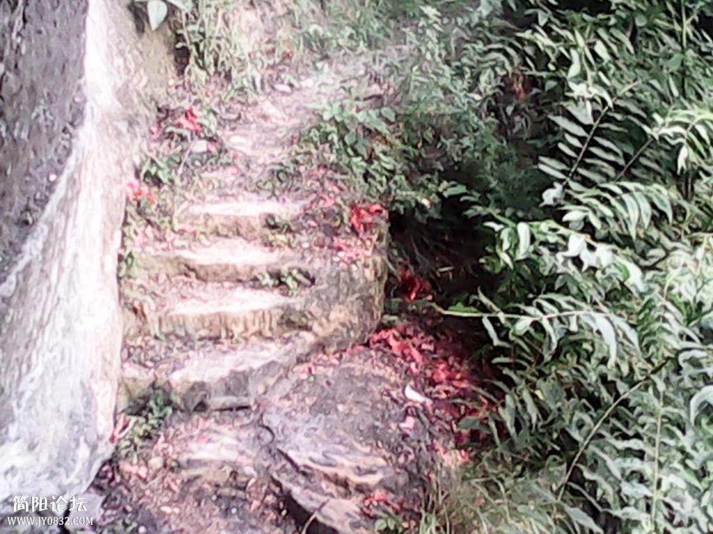 IMG_20130118_201739.jpg