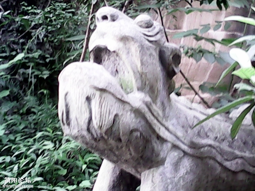 IMG_20130118_202735.jpg