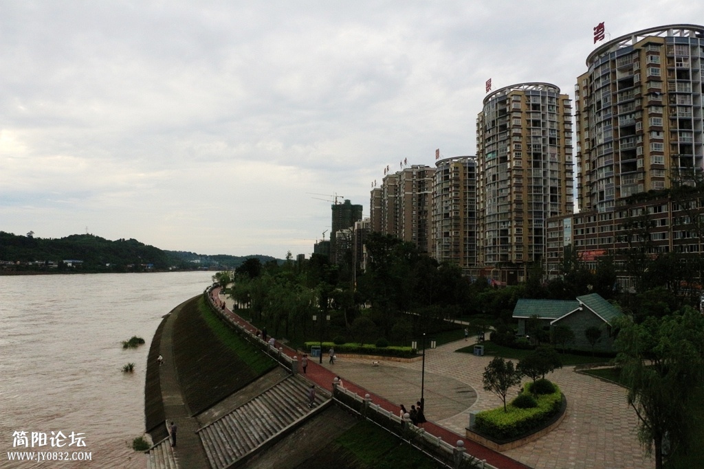 IMG_3349.jpg
