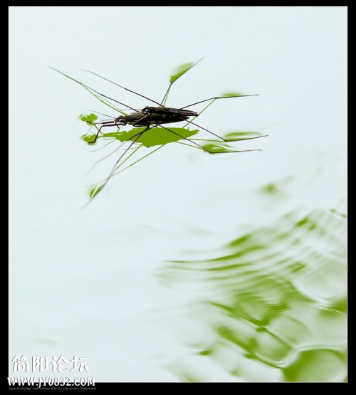 IMG_2345aaa0.jpg