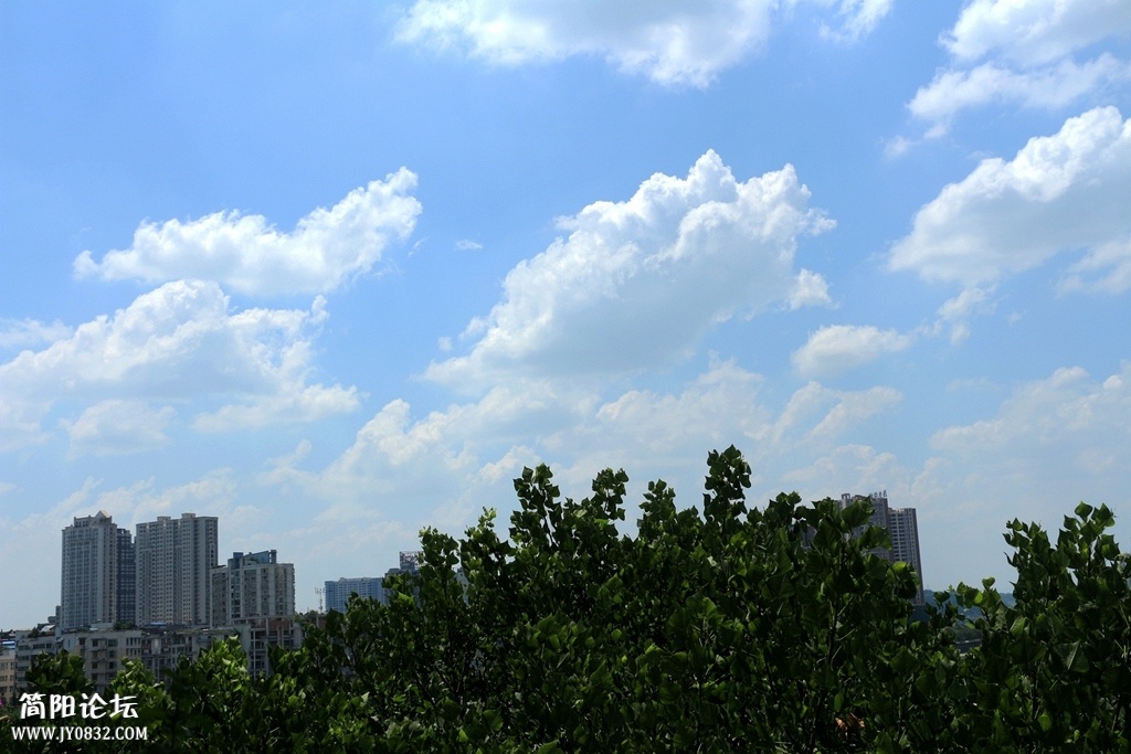 IMG_3633.jpg