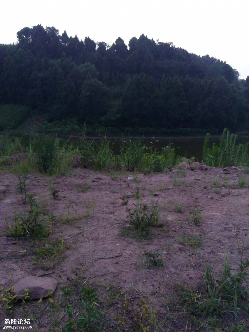 IMG_20140727_160921_看图王.jpg
