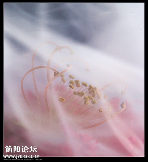 IMG_3650aaaa0.jpg