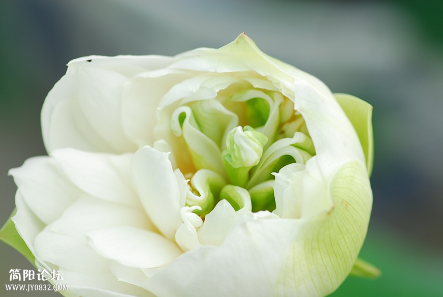 DSC_0309副本.jpg