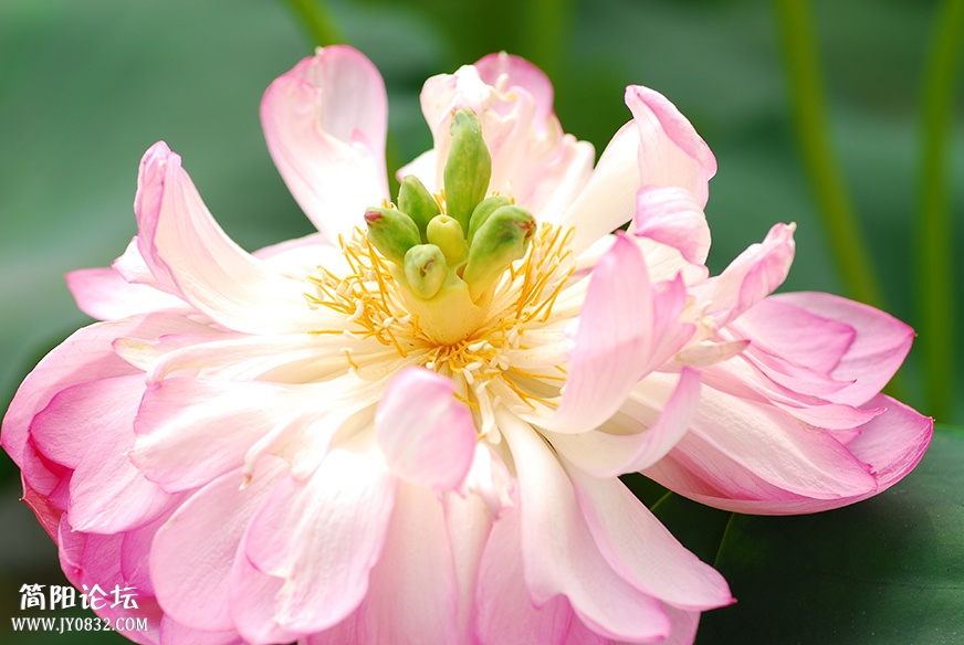 DSC_0356副本.jpg