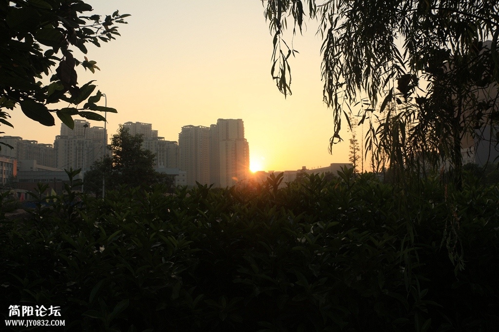 IMG_3688.jpg