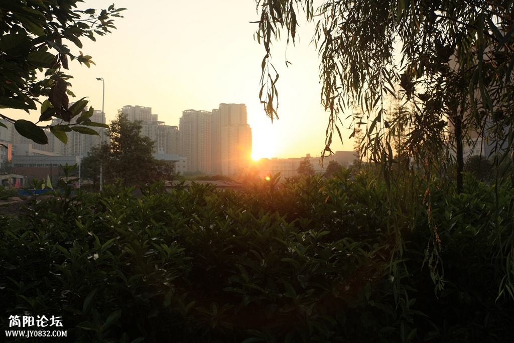 IMG_3689.jpg