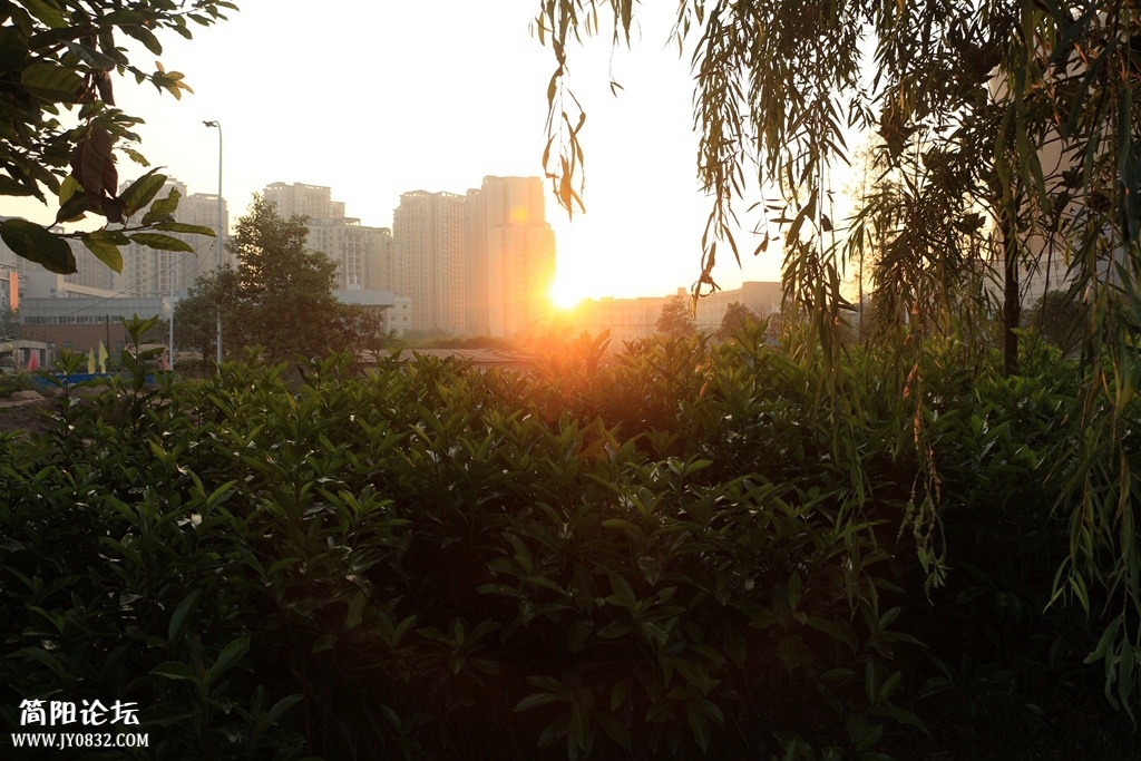 IMG_3690.jpg