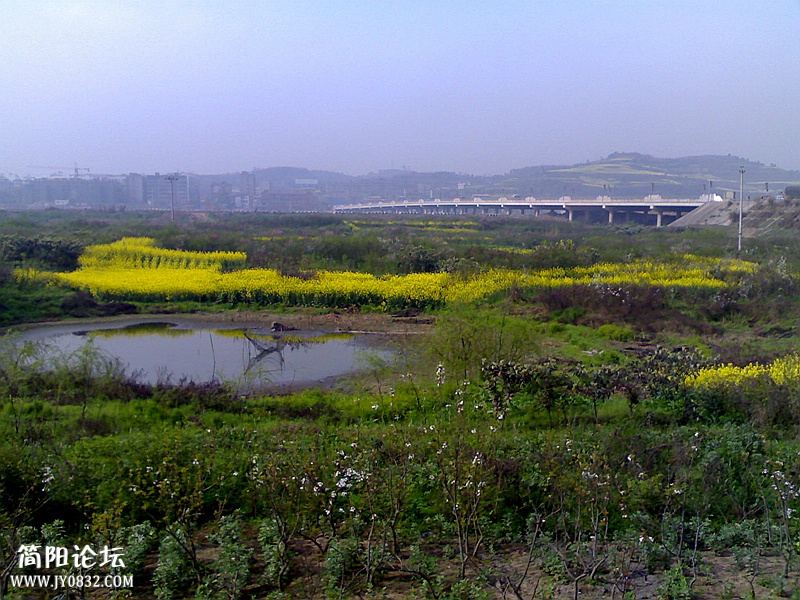 20080323101_副本_副本.jpg