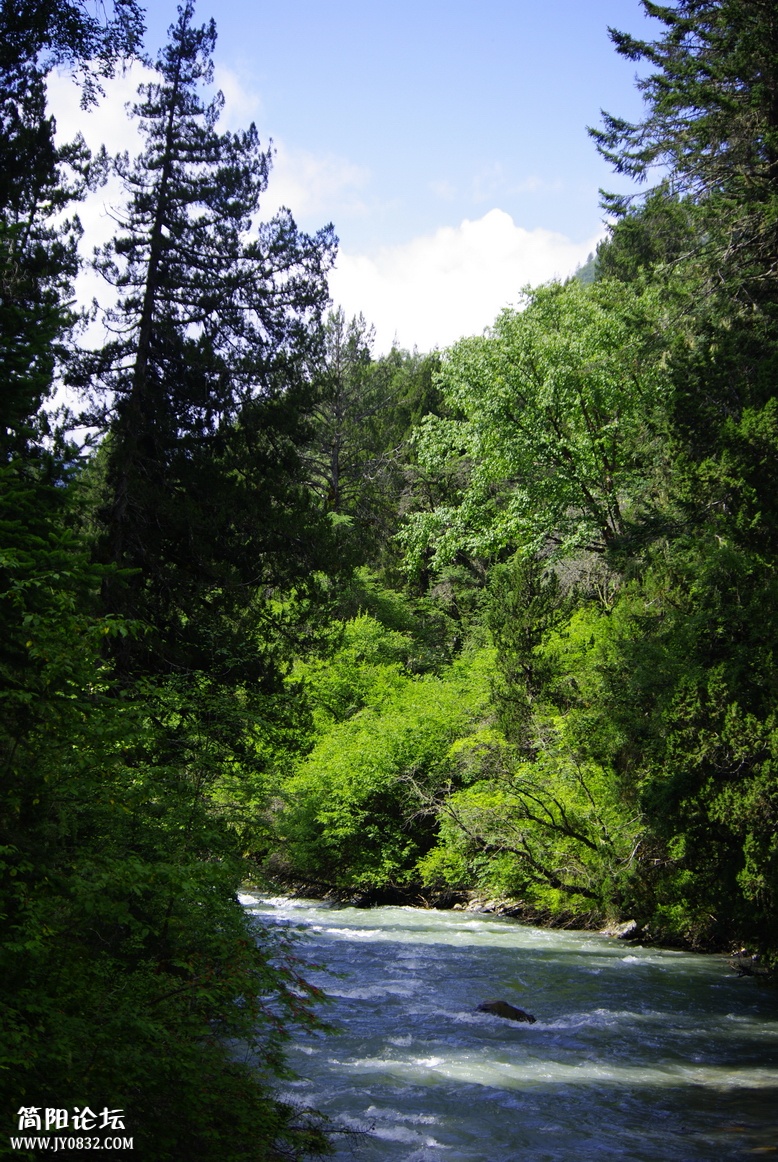 _IGP7093.jpg