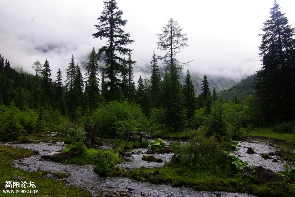 _IGP7219.jpg