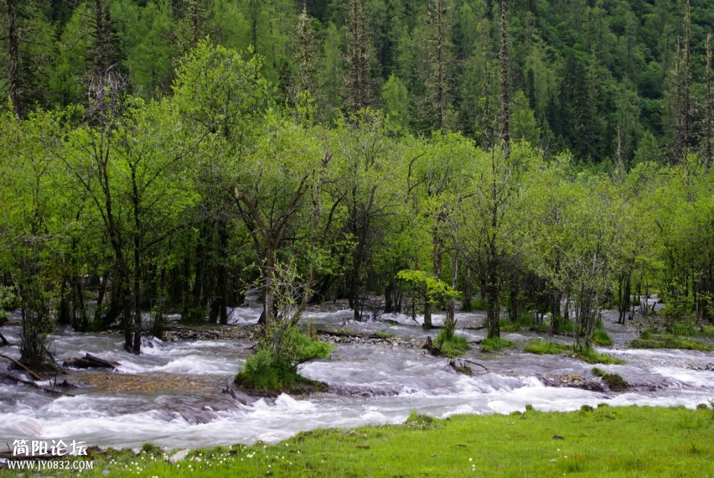_IGP7247.jpg