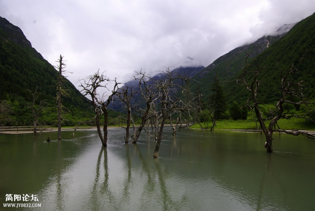 _IGP7291.jpg