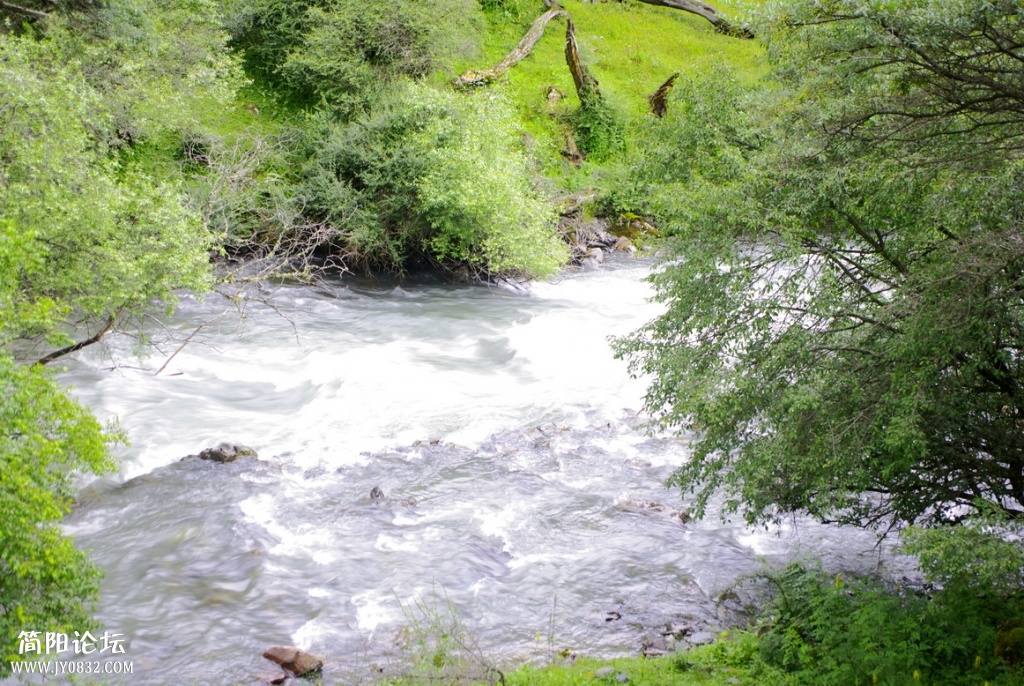 _IGP7299.jpg