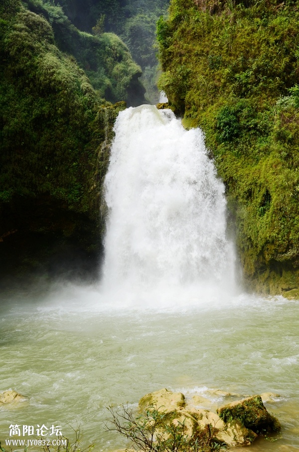 DSC_4481.jpg