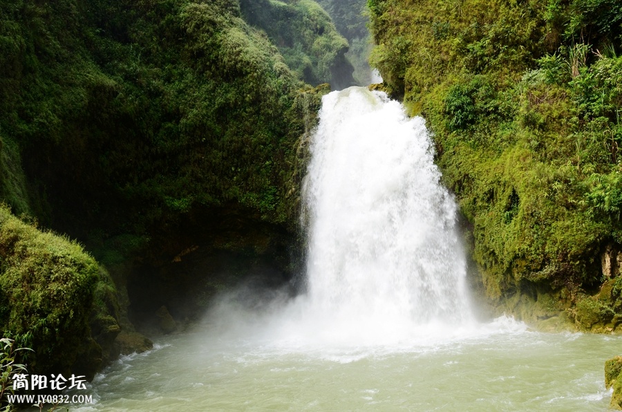 DSC_4483.jpg