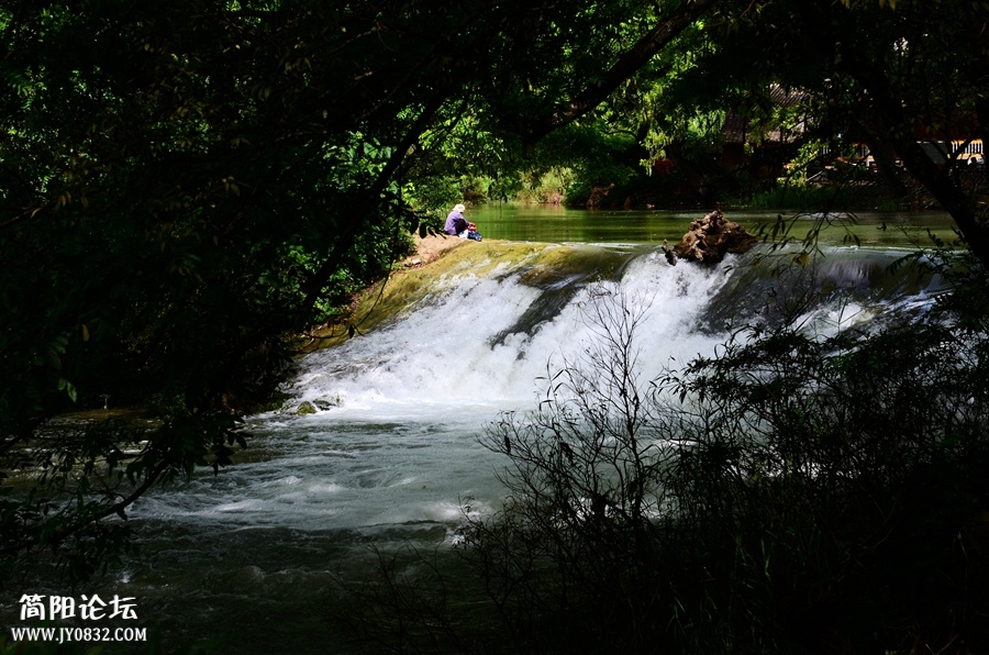 DSC_4540.jpg