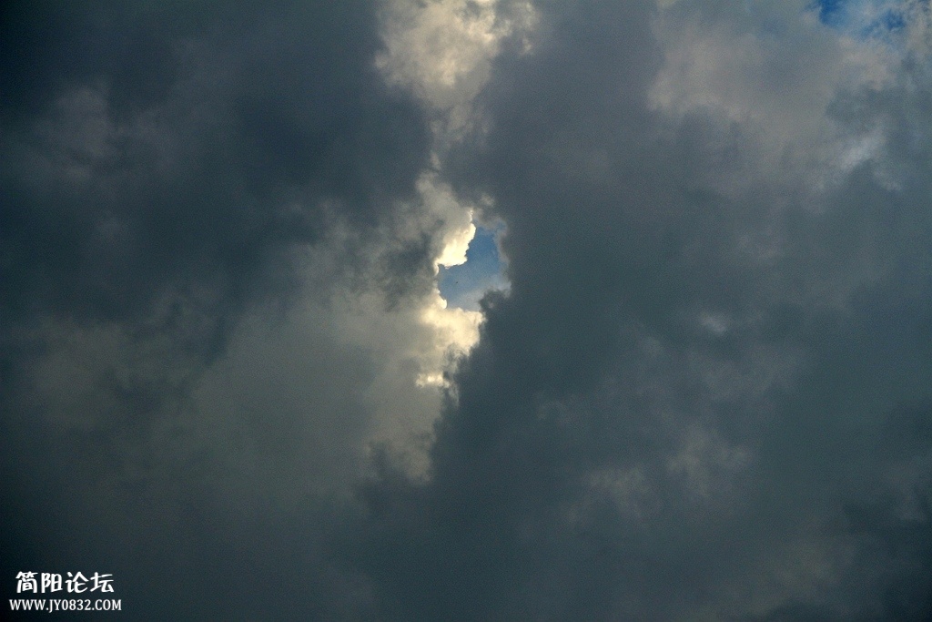 IMG_3776.jpg