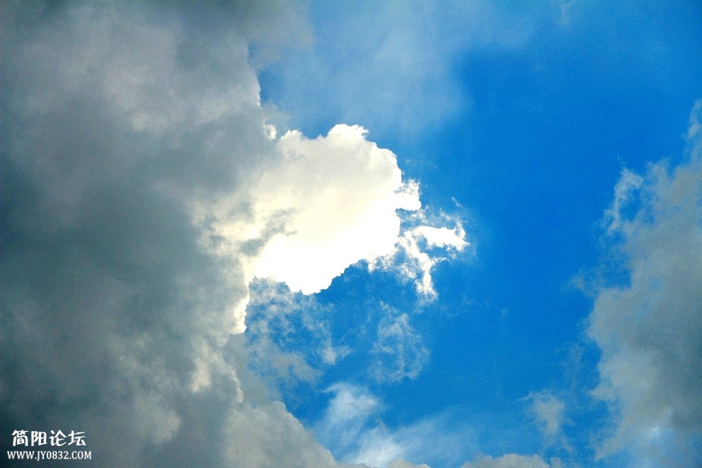 IMG_3779.jpg