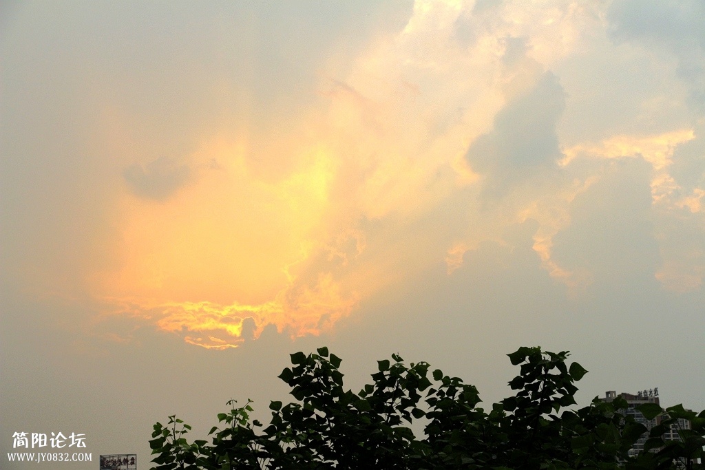 IMG_3786.jpg