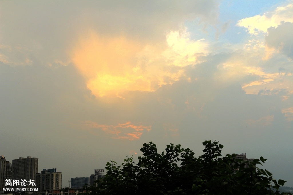IMG_3792.jpg