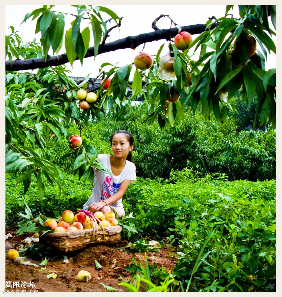 菠萝村蜜桃 (5).JPG