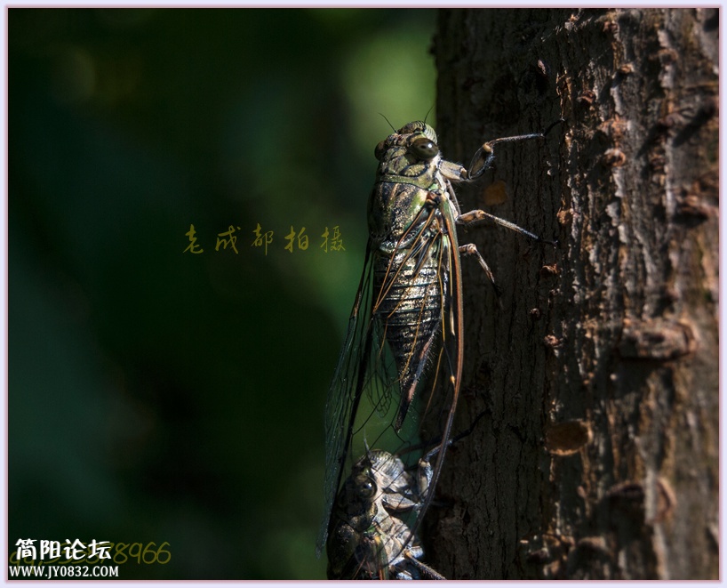 “DSC_7151”为智能对象-1_副本.jpg