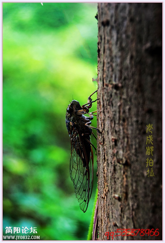 DSC_7272_副本.jpg