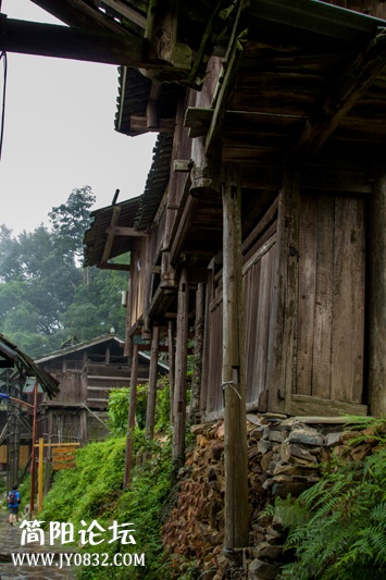 岜沙苗寨的居住房子都是傍山而建的这种吊脚楼-wl.jpg