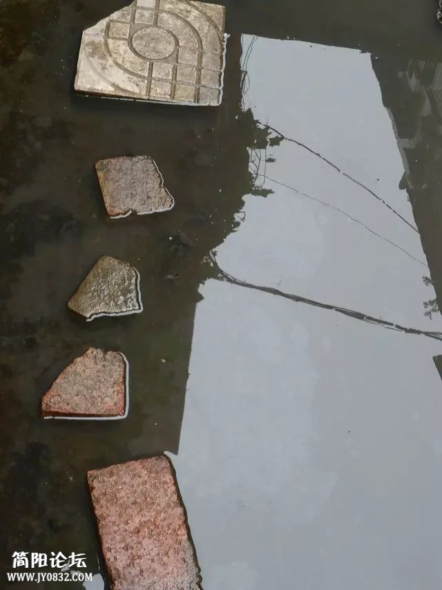 175550pperpvmg6pummuoe.jpg