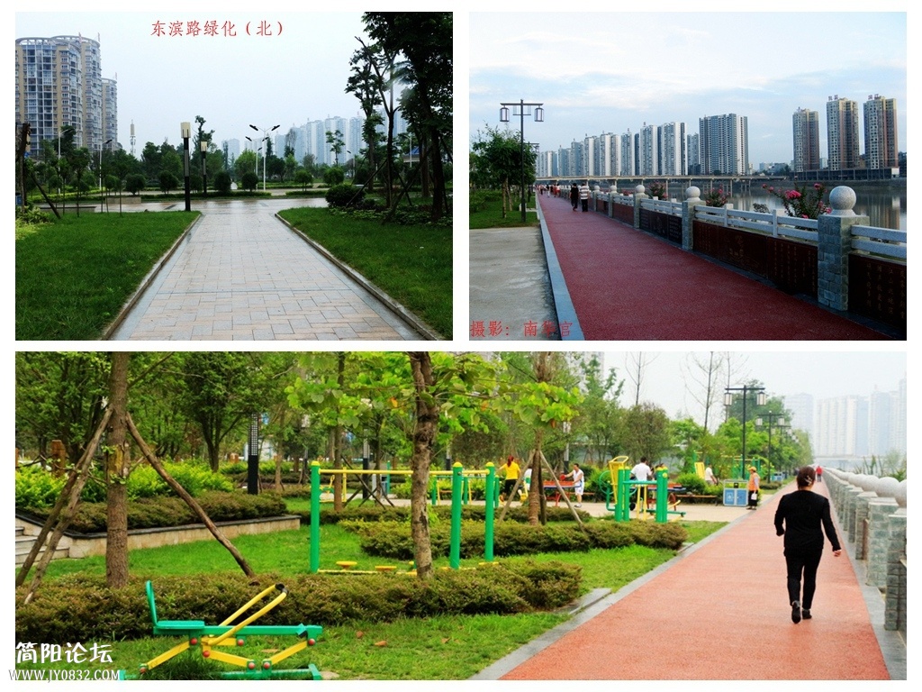 东滨绿化9.jpg