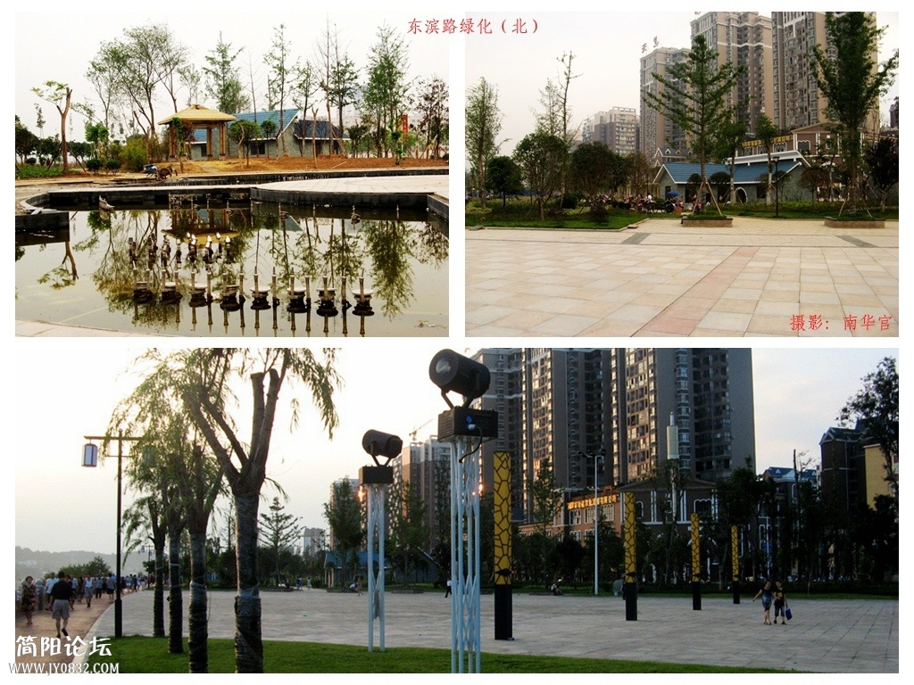 东滨绿化8.jpg