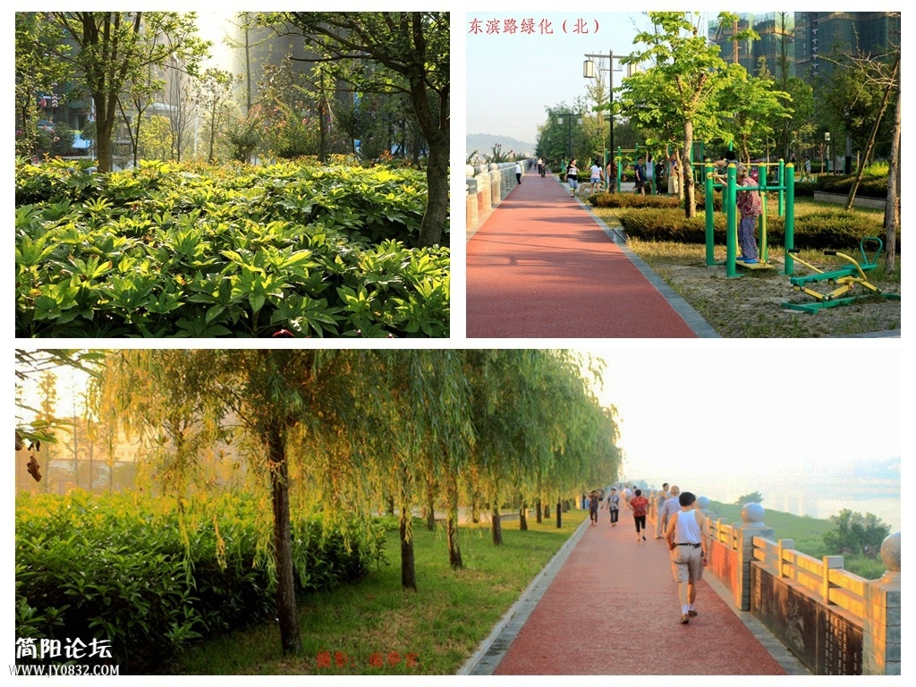 东滨绿化10.jpg